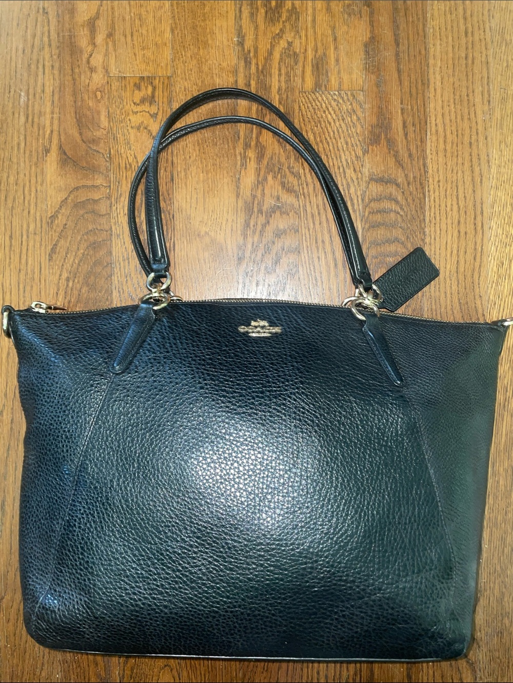 Coach Kelsey Tote with Gold Hardware F36591
